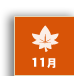11月