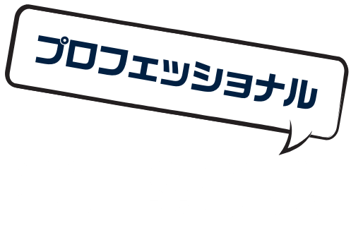 PROFESSIONAL